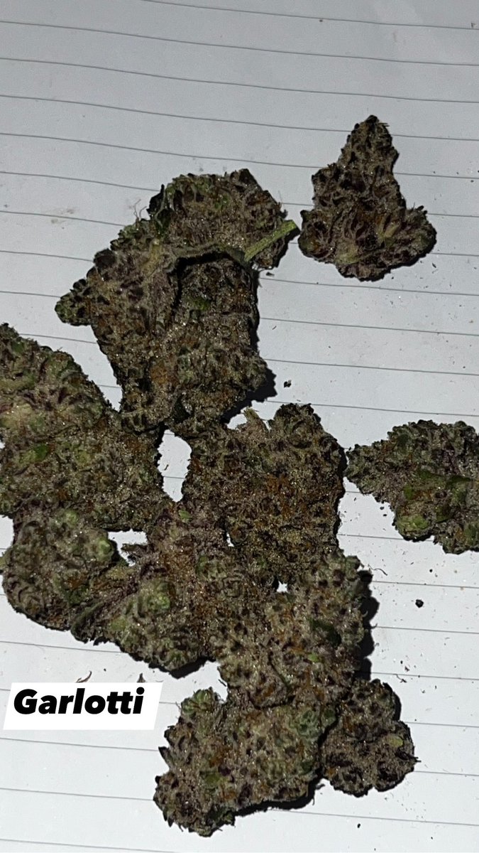 SMcpot508's tweet photo. 1 follower away from 100. Hoping this fire “garlotti” will get me over that hurdle #rapperweed #piff #garlotti #Mmemberville https://t.co/XrKV2M5Xbl