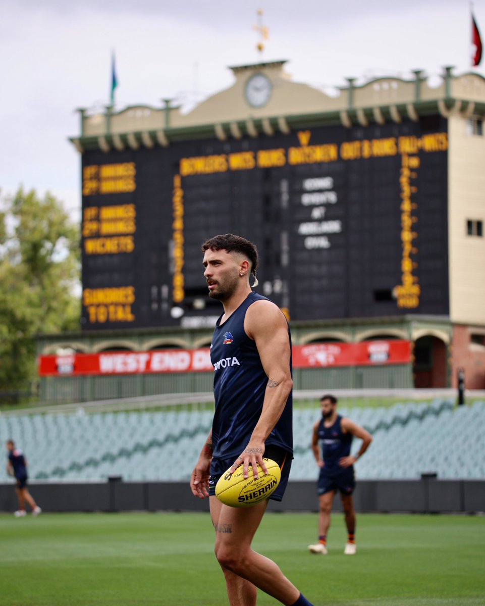 Adelaide Crows tweet media