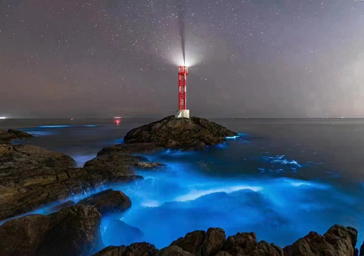 Leadvision rental LED screen tweet media