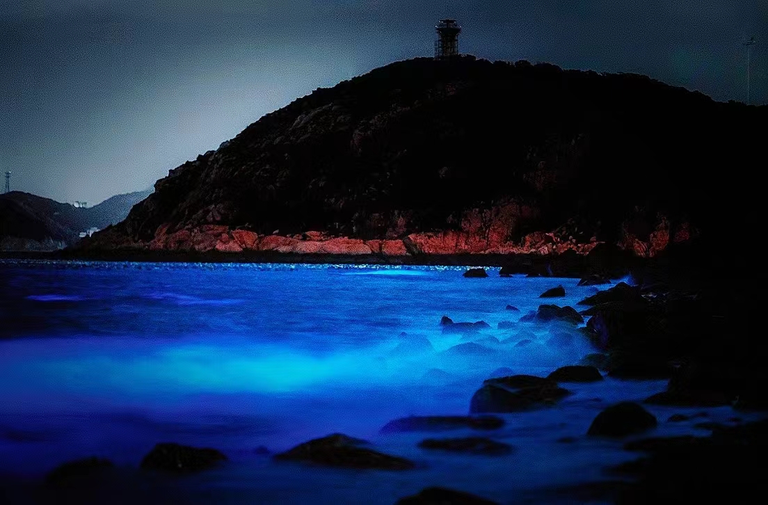 Leadvision rental LED screen tweet media