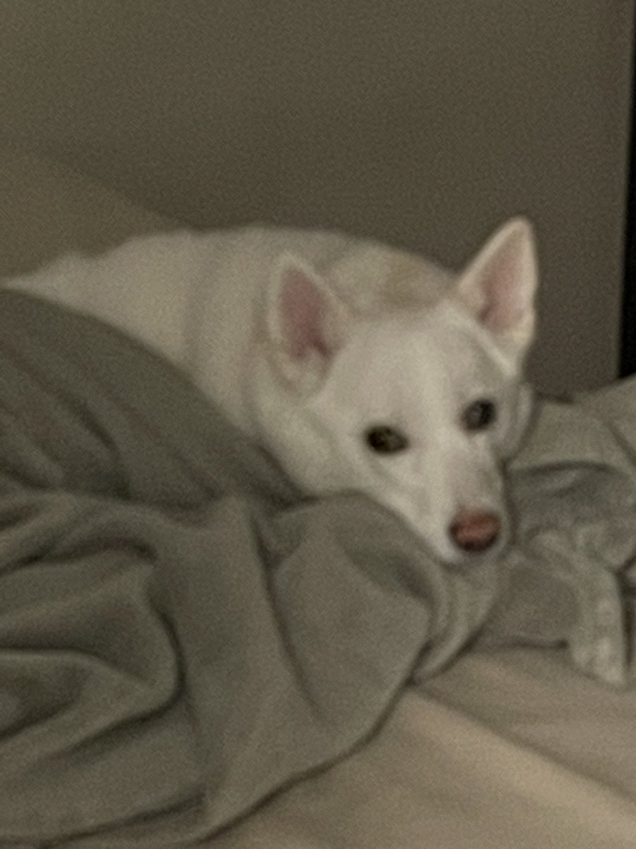 Barry Fitzgerald Sr tweet media