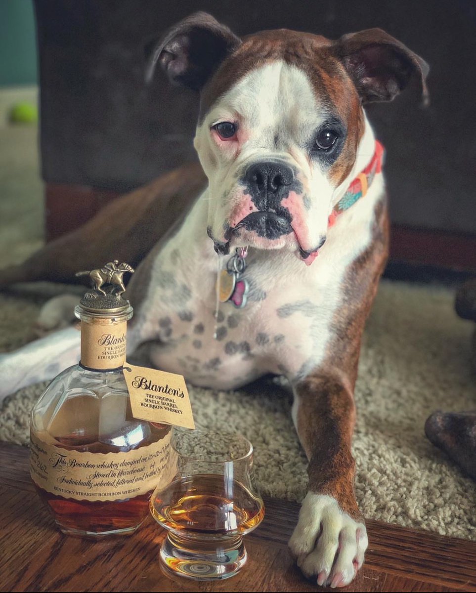 Blanton's Bourbon tweet media
