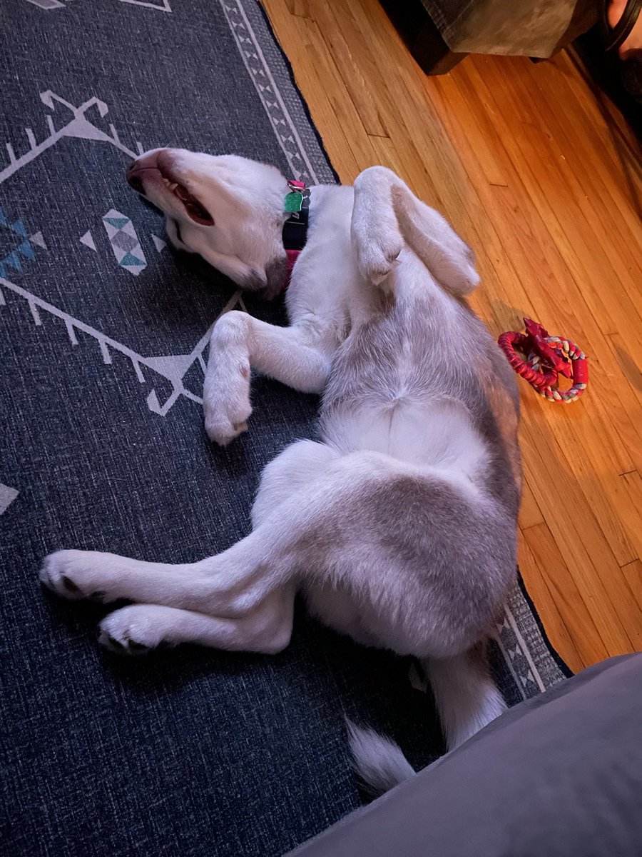 Richrodd's tweet photo. Inside of you there are two wolves… https://t.co/LkJOQg9dGi