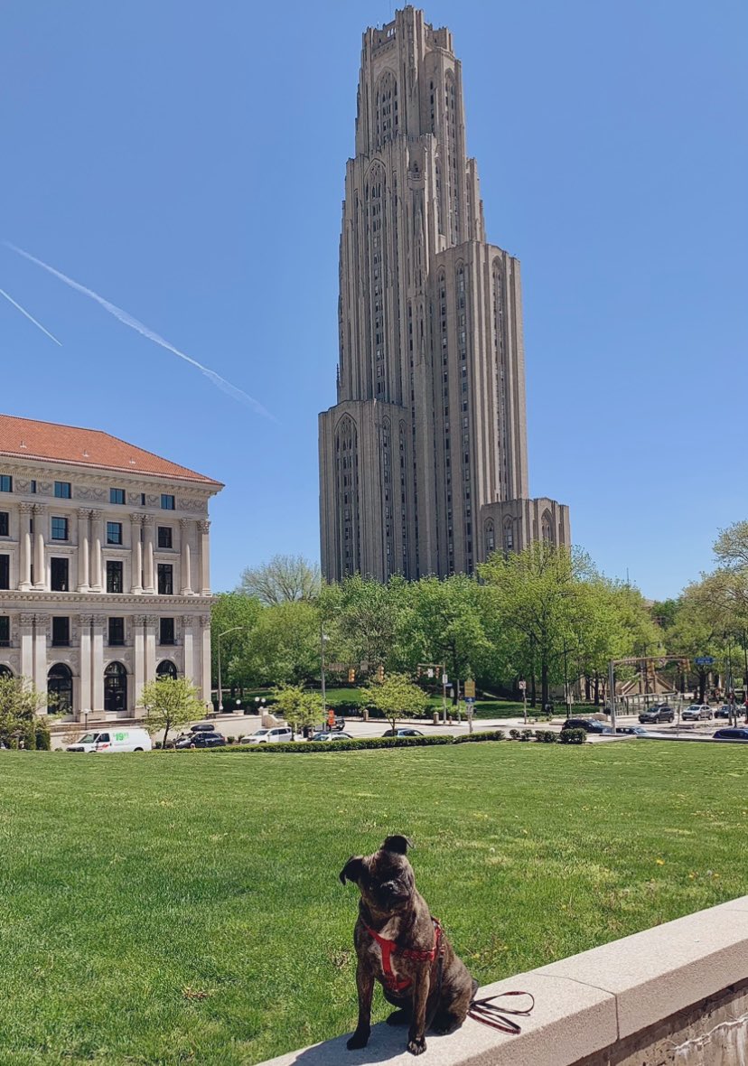 spookymuki's tweet photo. @Pitt_ATHLETICS Beast ❤️ Cathy #H2P https://t.co/0KAzKnMAf2