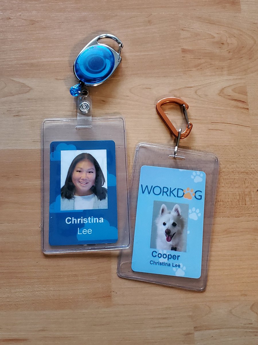 CreativeJubilee's tweet photo. After 13 years, I finally get to bring this guy to the office and put him to work! Happy #NationalPuppyDay, #CooperCrazyLee! #DogsofTwittter https://t.co/kCzr7n8u6X