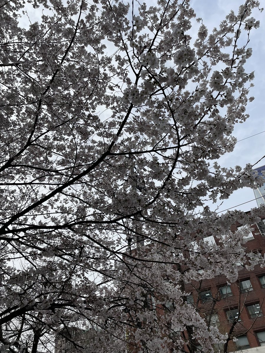 looking down/looking up