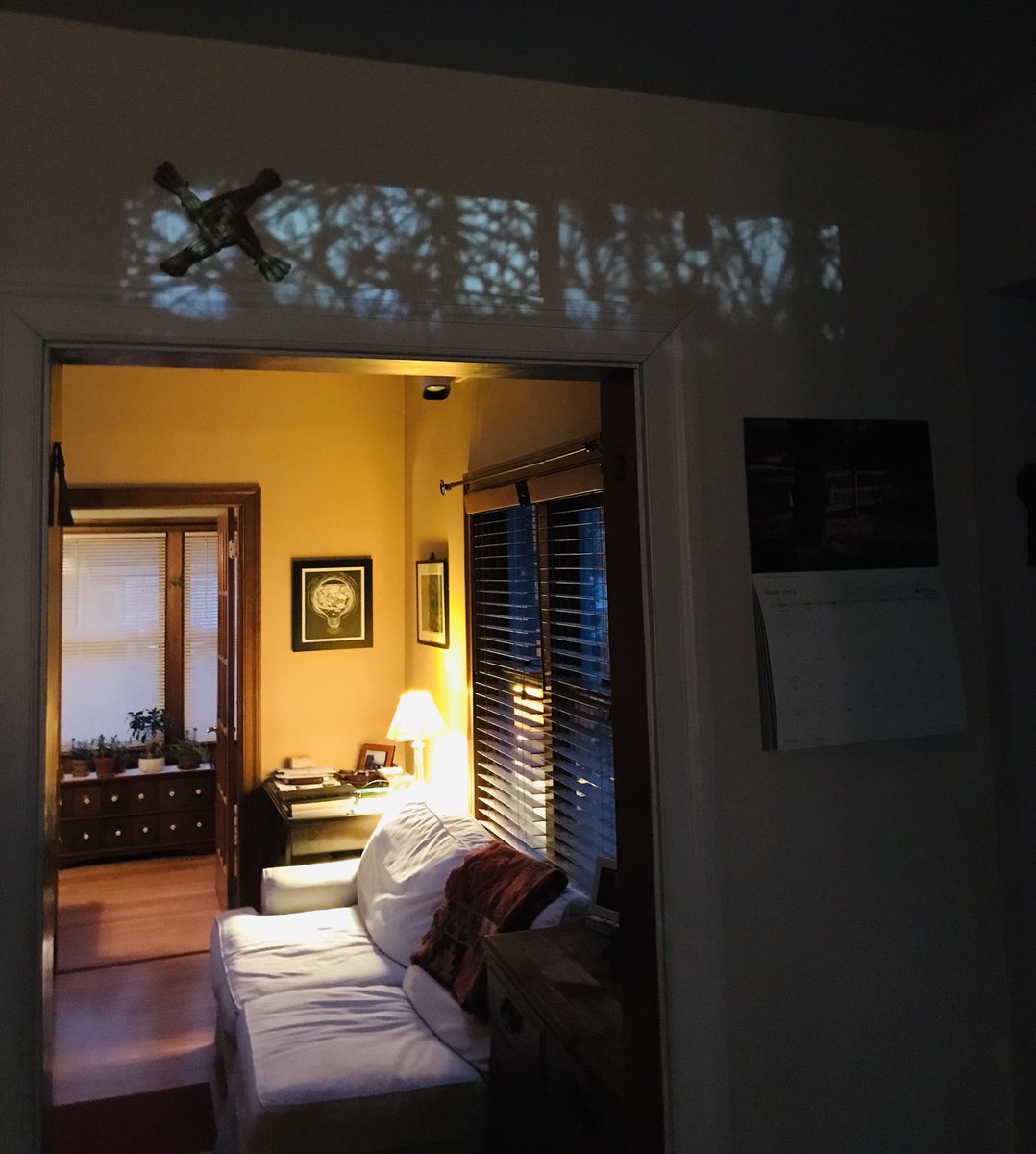 TessMaryOConnor's tweet image. Mysterious shadow appears above doorway this evening - generated by 🚙 headlights from neighbors across the way - bramble interference. #lightshadows