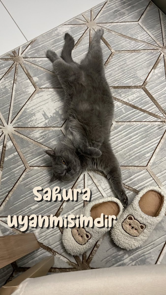 Sahura uyanmışımdır🥴
