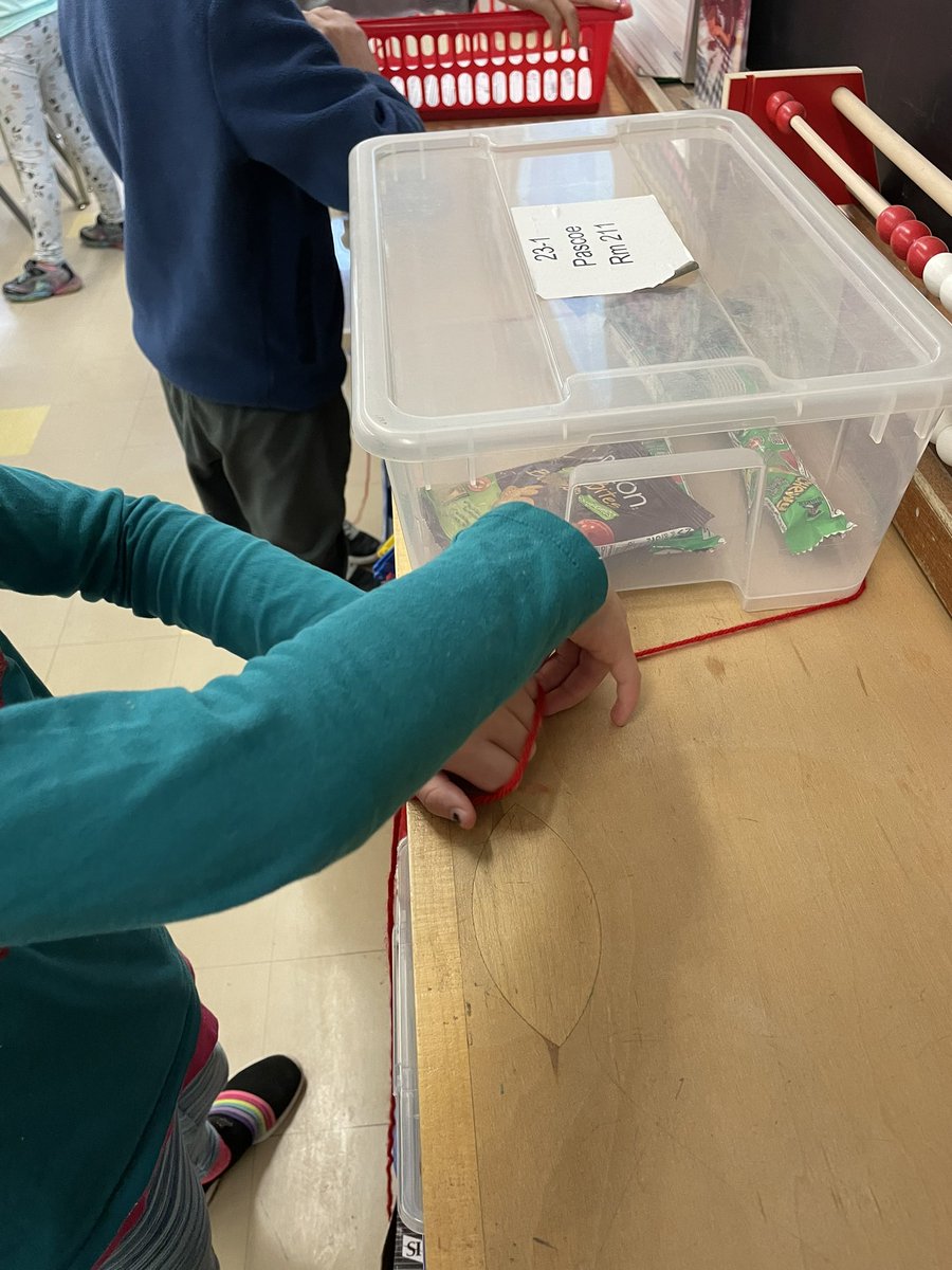 PascoecLea's tweet photo. We have been exploring perimeter this week using string and steps around the gym. https://t.co/CoqwDPxhpR