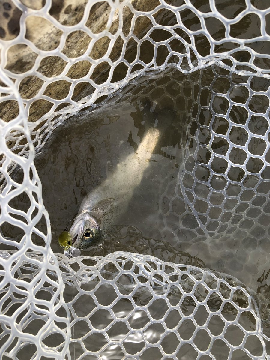 mokb_trout's tweet image. 約1ヶ月振りの釣りに来ました。
いっぱい釣れて楽しいです。
そして家族には内緒です。