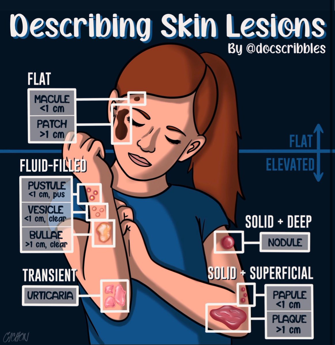 Describing skin lesions credit from 
@DocScribbles

#MedEd #Medtwitter #FOAMed #dermtwitter #Medstudenttwitter