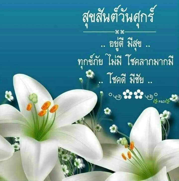 Konpanxxxxxx's tweet photo. อากาศ​ร้อน​มาก​ชวนใครไปนอนเล่นรีสอร์ท​ได้บ้าง💦💦💦💦💦💦
#นัด​4​กุดบาก https://t.co/g2o8QOjgkP