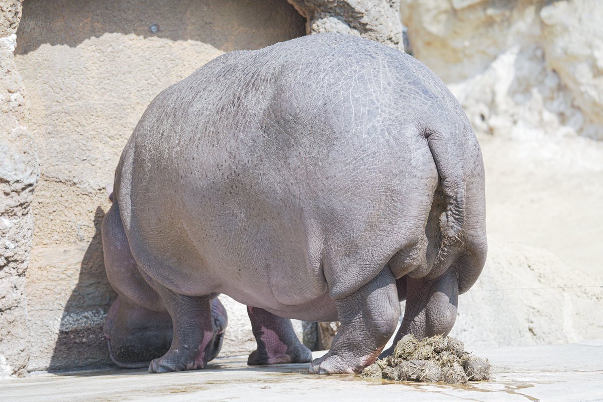 確かに私はω（おしり）が好きだけども❗️オモテヲアゲーィ‼️ #BYYARD祭 #草食男子 #草食あるある