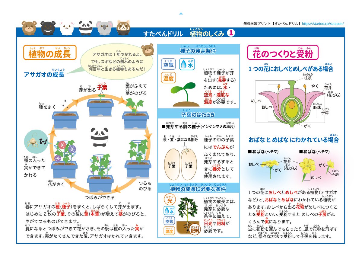 startoo_'s tweet photo. 春休みに使える無料学習プリントを公開しました👩‍🏫小1から小6まで「総復習」と「予習」ができる家庭学習プリントが揃っています！勉強スケジュール表付きです！Z会さんとのコラボ教材もありますよ👩‍🎓
https://t.co/dy7Ot6p8oG https://t.co/8OLG0f4qKz