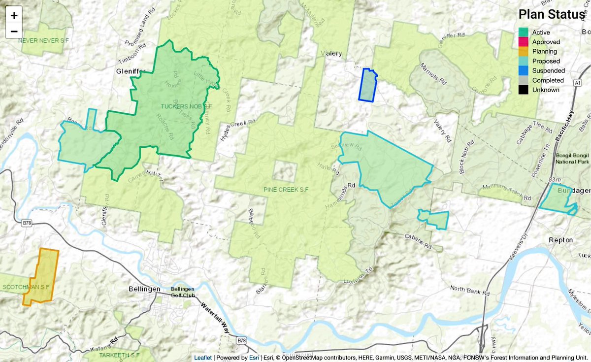 NSW’s most significant koala populations under threat from logging plans near #CoffsHarbour  
npansw.org.au/2023/02/28/nsw… 
#SavePineCreek #SaveTuckersNob 
#GreatKoalaNationalPark #NSWvotes #PutTheNATSLast #VoteKoala