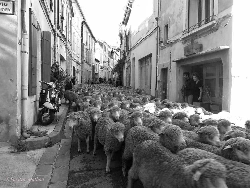 PacittoMathou's tweet photo. Très heureuse de vous présenter ma nouvelle exposition "PARIS-ARLES 2019-2023" qui commence aujourd'hui à la Mairie du 6ème, place St Sulpice à Paris. #Exposition #photo #photography #France #Paris #Arles https://t.co/U5PkxDZDj4