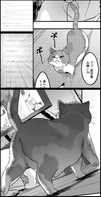 Komifloのコメントで求めていた一言をいただきました。

解っていただけましたか。

 https://t.co/qBd8MbrgEa #メガストア 