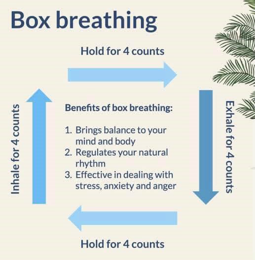 AppTake3's tweet photo. 4reathing techniques to try!

1. Box Breathing

#meditation #mindfulness #mentalhealthawaraness #mentalhealth #breathing #breathingtechniques #peaceful #calm #stressrelief https://t.co/iXtZ16PR1n