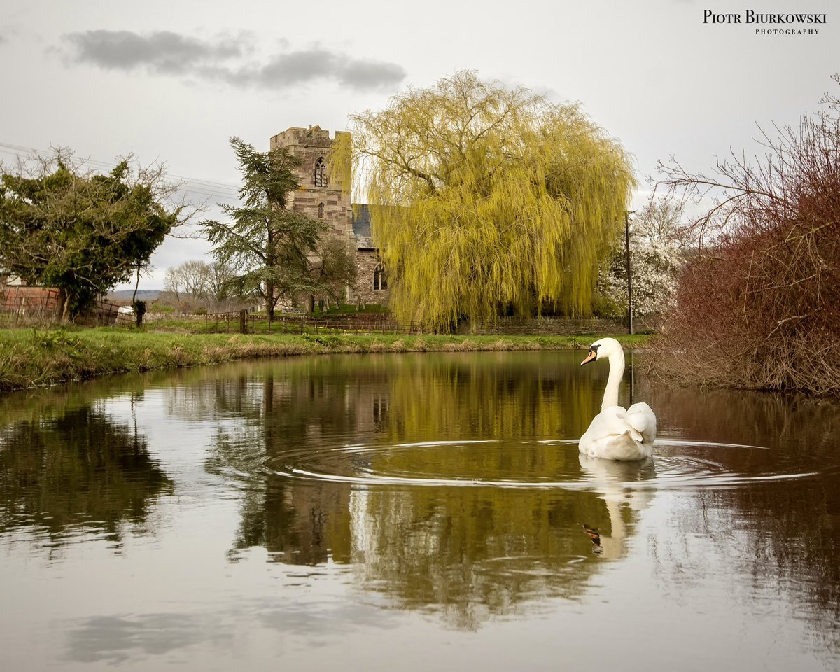 Piotr Biurkowski Photography tweet media