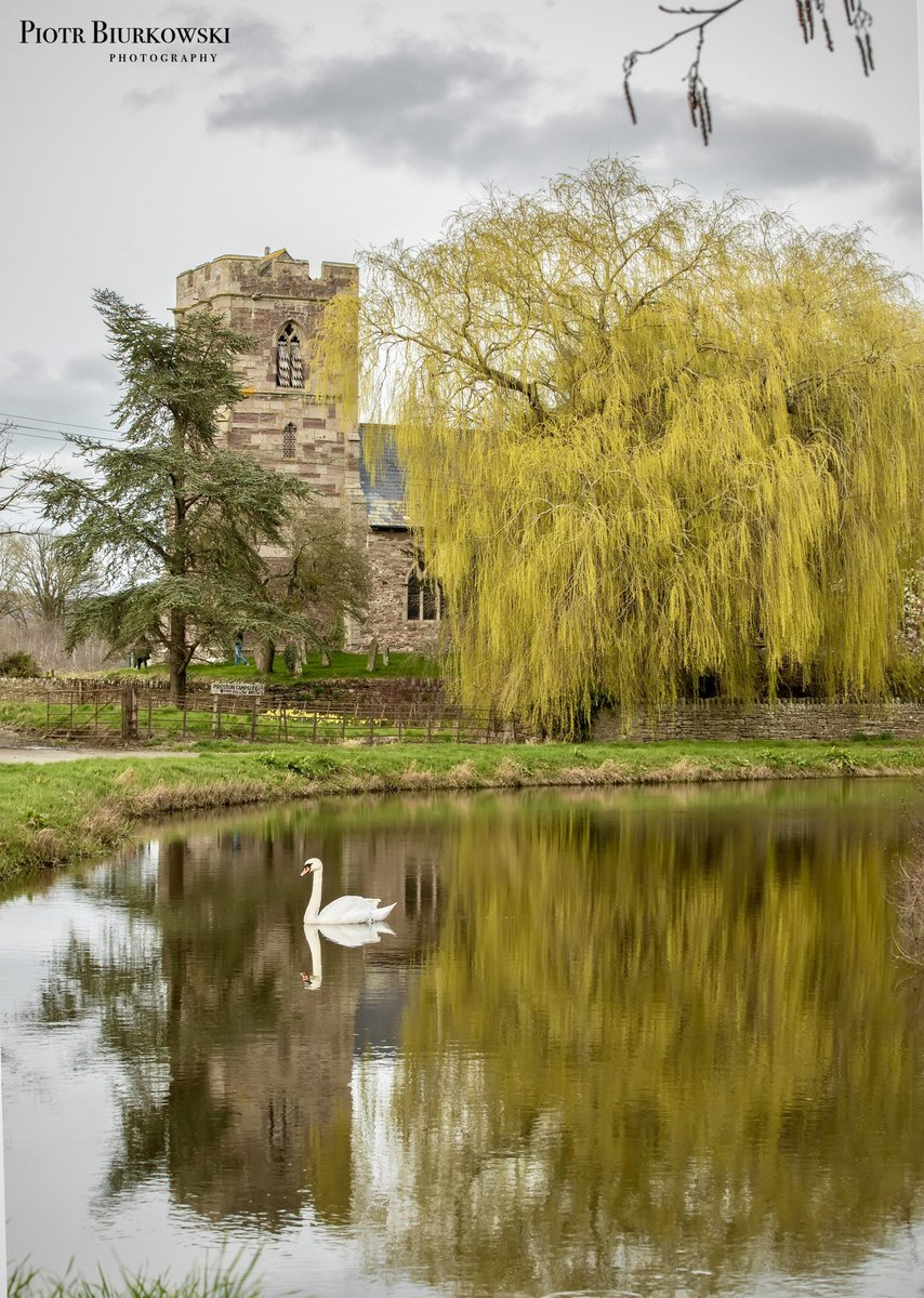 Piotr Biurkowski Photography tweet media