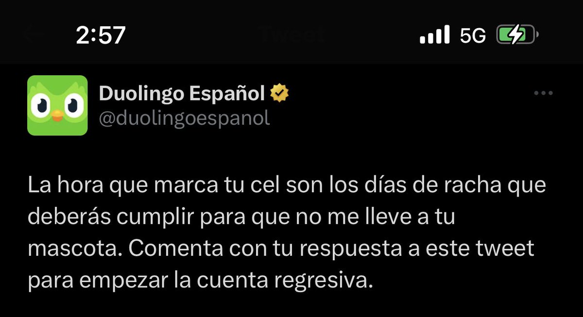 mabelma01's tweet photo. @duolingoespanol Wey ya, necesito a mi hermana de regreso https://t.co/b5Brokp9hV