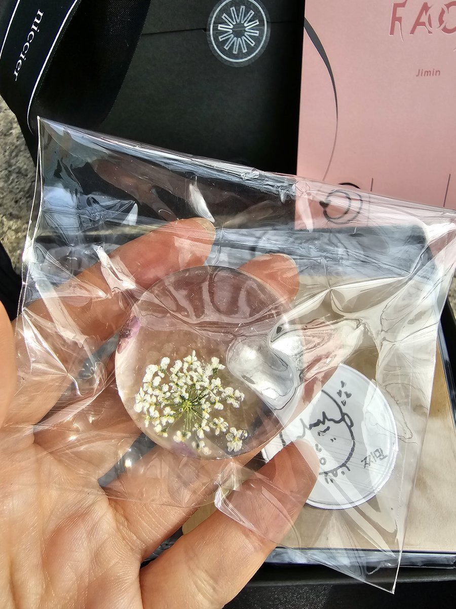 lumejeon's tweet photo. in case you needed another reason to cry the flower jimin's gifted to armys is called ammi flower https://t.co/svIy9RhGoP