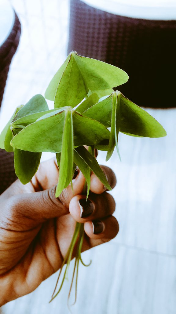 seenoninternet2's tweet photo. Utu tuntu niba waraturiyeho kera ukiri muto, twitwa gute?😋🤔 https://t.co/kmRLBlKb0M