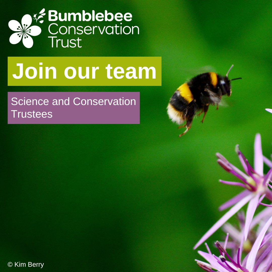 We are looking for two Science and Conservation Trustees to join our Board. This is a voluntary position but offers an exciting opportunity to assist a dynamic charity in developing its conservation and science work in the UK. Full details: ow.ly/YR3o50NpWL9