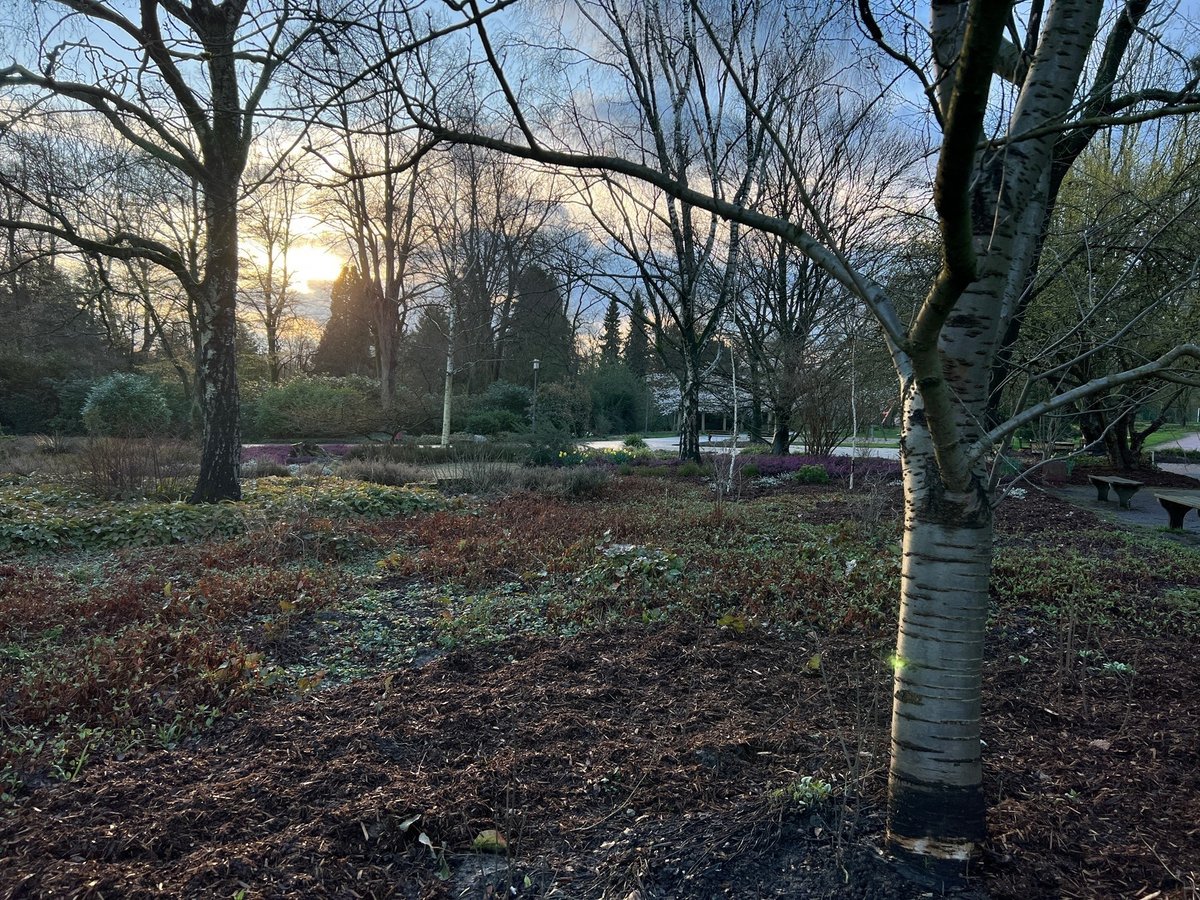 Konrad Lischka tweet media