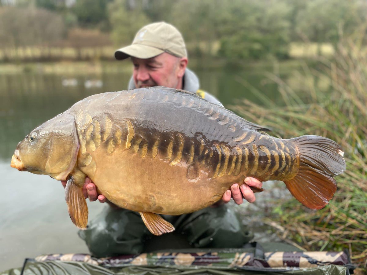 ccmoore_baits's tweet photo. Late winter linear
Stu Medway with a lovely 41+ linear caught this week on Pacific Tuna. They’re finally waking up, showing signs they’re ready for a little feed ;-)
.
.
.
#ccmoore #pacifctuna #tunatime #mooremeansmore #wintercarp https://t.co/HJzG5wxY2y