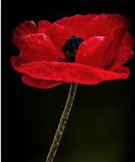 Born this day 24th. March 1911.

F.Lt. Vaughan Bowerman Corbett.
Canadian One of THE FEW.
bbm.org.uk/airmen/Corbett…
Awarded the DFC.
He was killed in a flying accident.
Buried in St James’ Cemetery, Toronto.