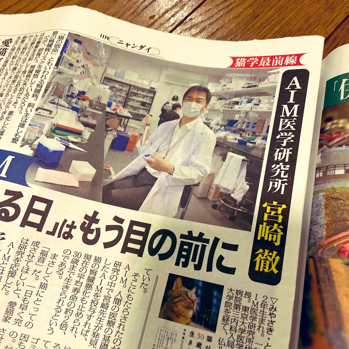 コンビニで見つけて即買いした「日刊ニャンダイ」@nikkan_nyandai  こんなん買うさ…。買うだろさ…🐈🐈‍⬛ 