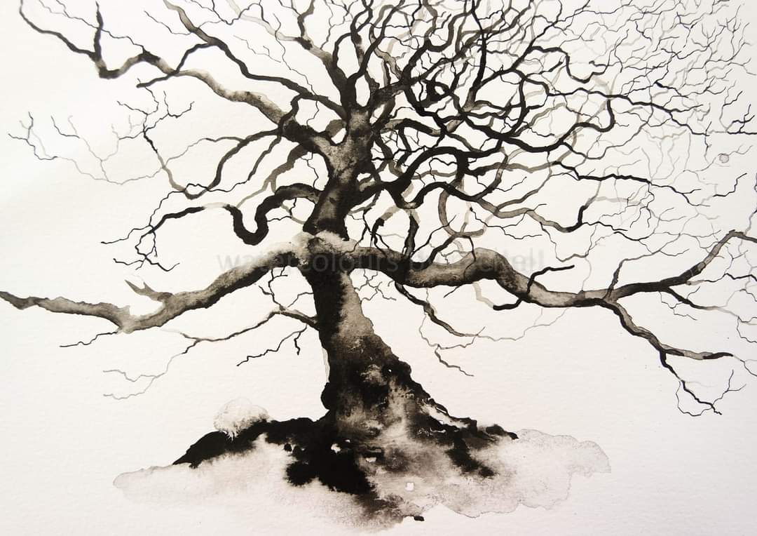 Elidanza's tweet photo. Dartmoor Tree

I loved this tree , it looks like it wants to give you a hug .

Happy Friday x

#Watercolour #ink #trees #treeshapes #treesoftwitter #treeoftheday #Devon #Dartmoor #Monochrome #branches #Artist #painting #art #paint https://t.co/LXqP9NZnYm