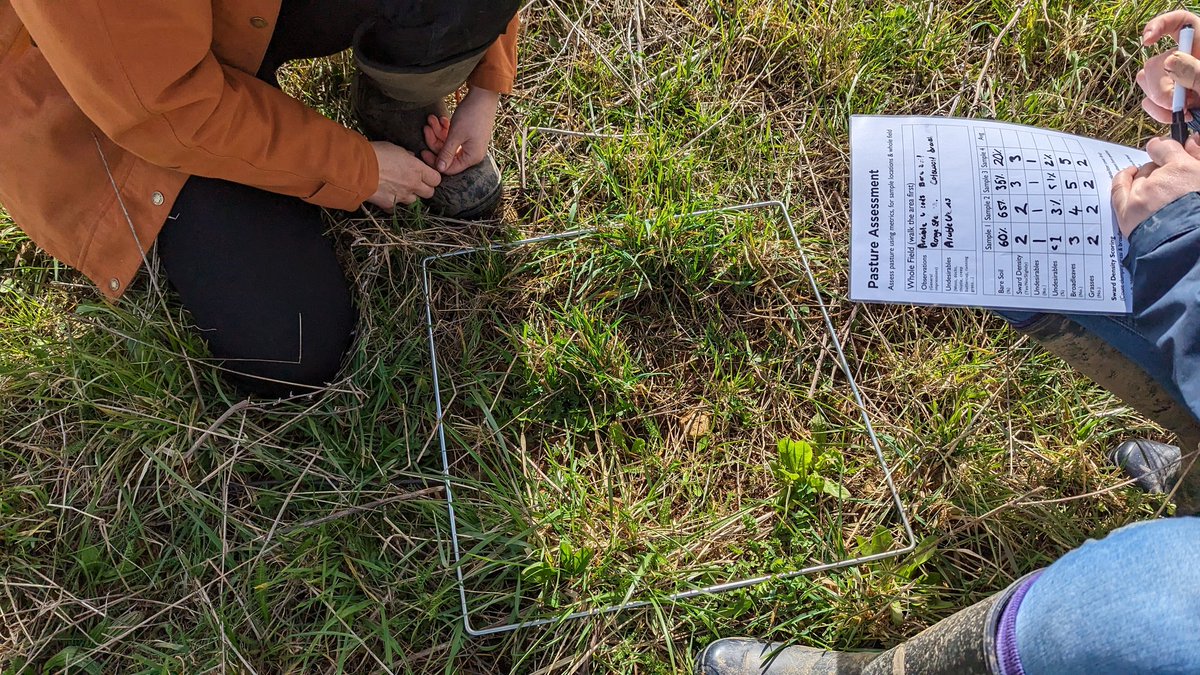 niels_corfield's tweet photo. Great to deliver another 2 day grazing course @RealFarmED 
Thanks to @FAIfarms Silas for popping by https://t.co/yyczPy7Dw8