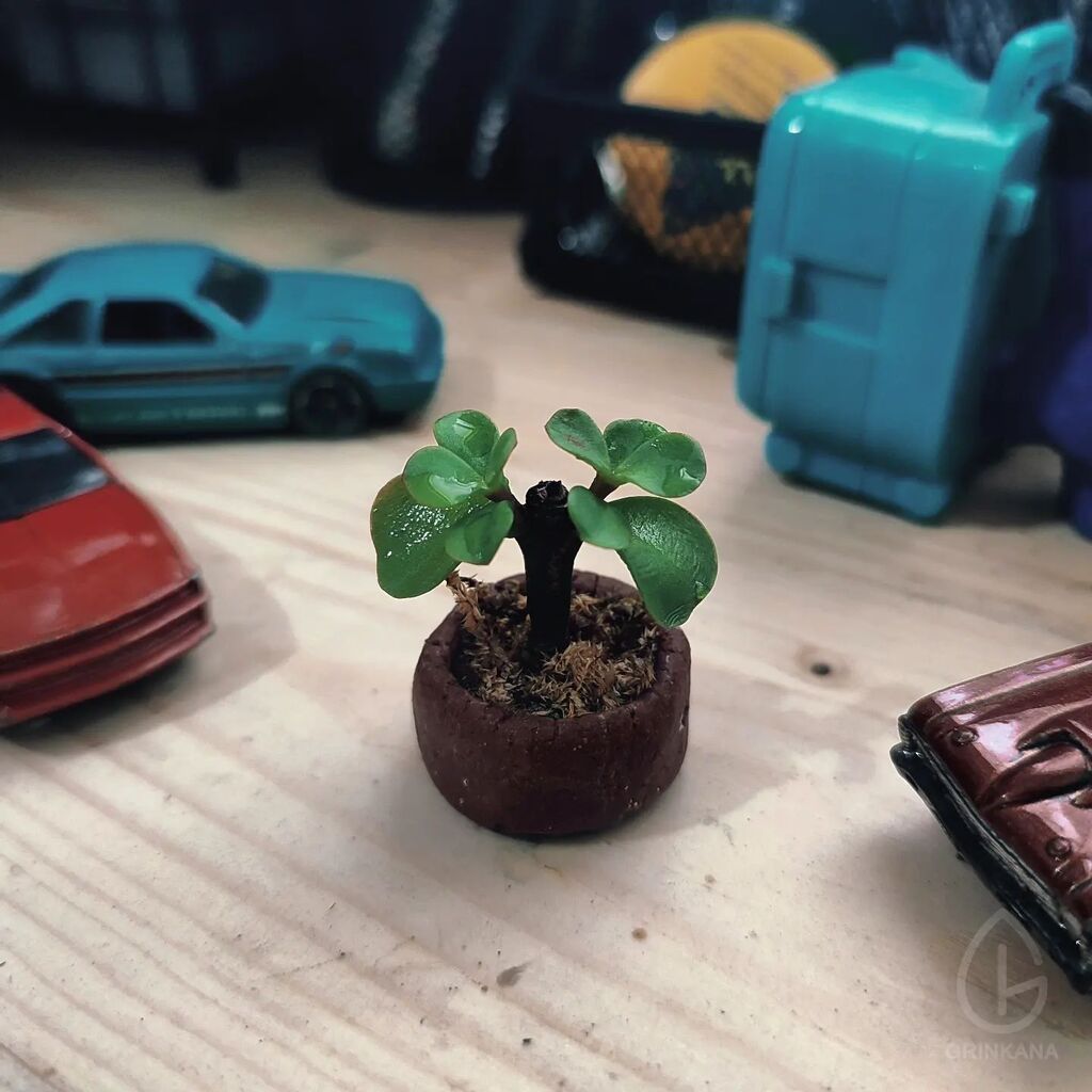 grinkana's tweet photo. Yippieee yaaaay!!! 
The next lil' tiny plants is Elephant Bush! 
Available Now!!! 
Available Now!!! 
Available Now!!! 
.
#bonsai #mame #succulents #miniplants #littleplants #indoorplants #souvenir #gift #bonsaiart #bonsailovers https://t.co/hR6qwlc3j9