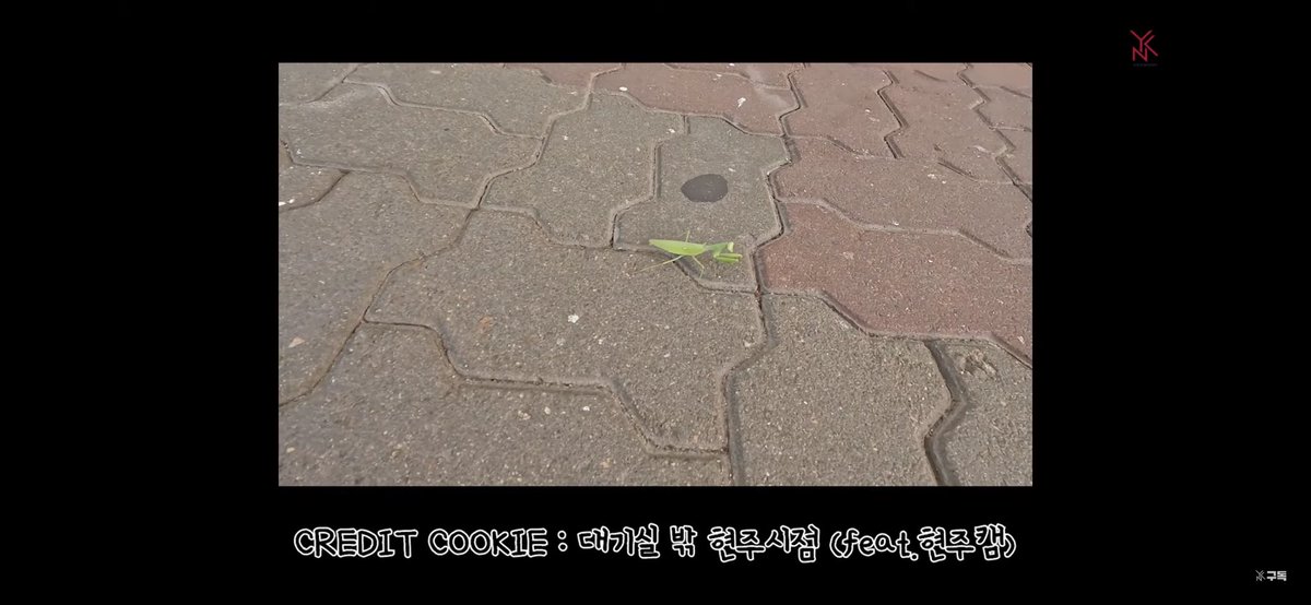 언니… 근데… 혹싀… 사마귀는 왜 보여주는거야?(ㅋㅋㅋㅋㅋㅋㅋㅋㅋㅋㅋㅋ)