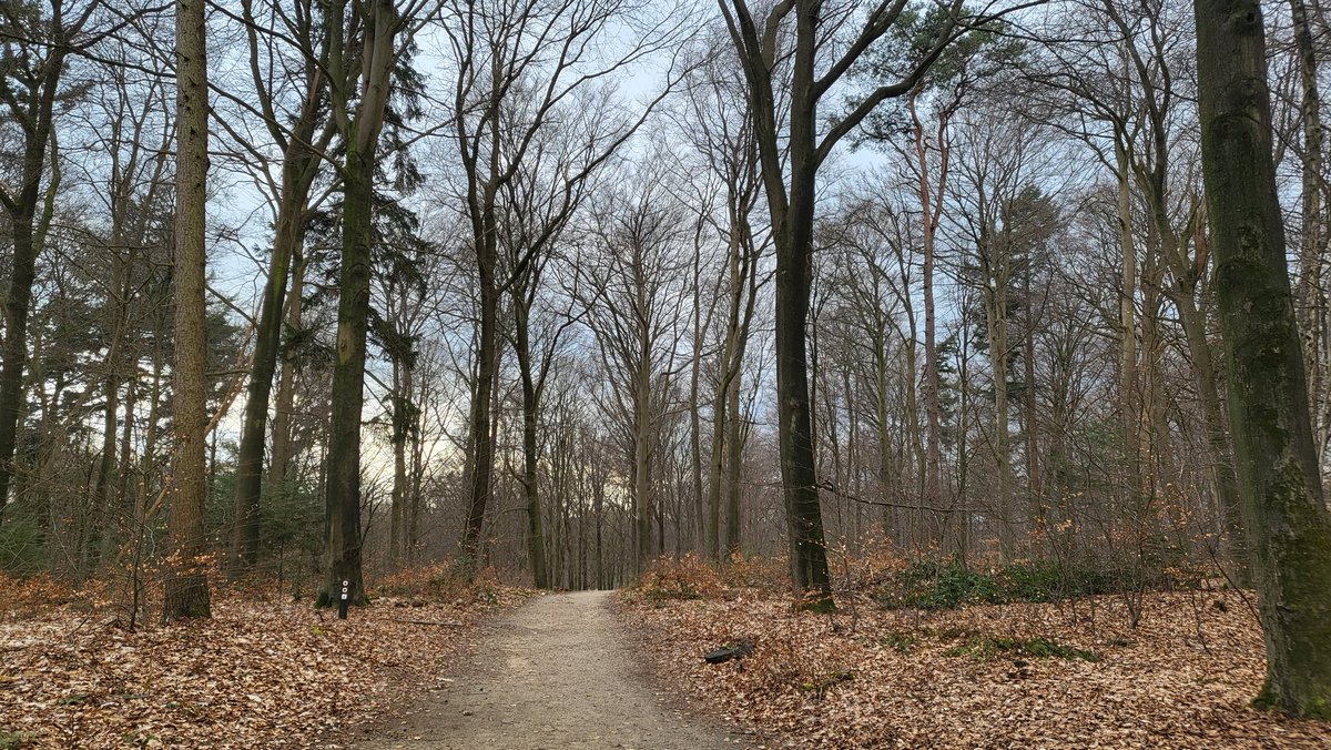 hhtmiddelkamp's tweet photo. We've had a great @nociorganonchip retreat for the past four days! Today we will have the final presentations and then we go home where I can finalize my thesis🙈
#phd #noci #phdlife #finishingthesis #organonchip https://t.co/QElEOksGHf