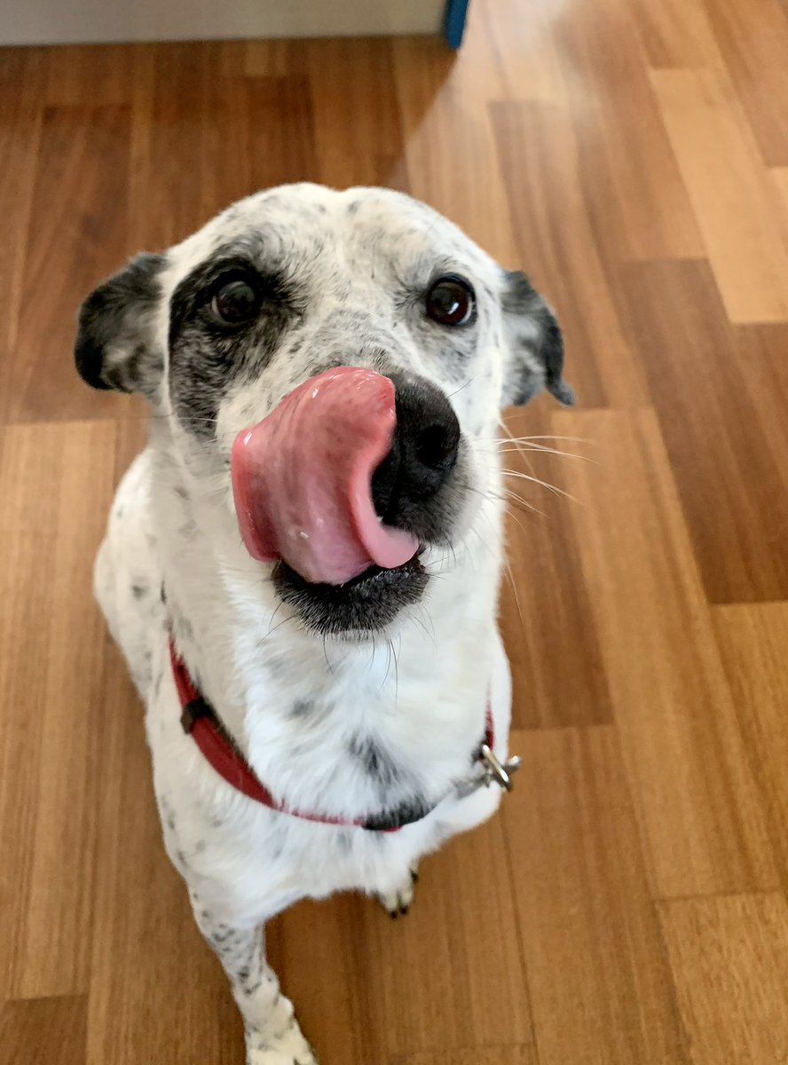 Artemis Grympla tweet media