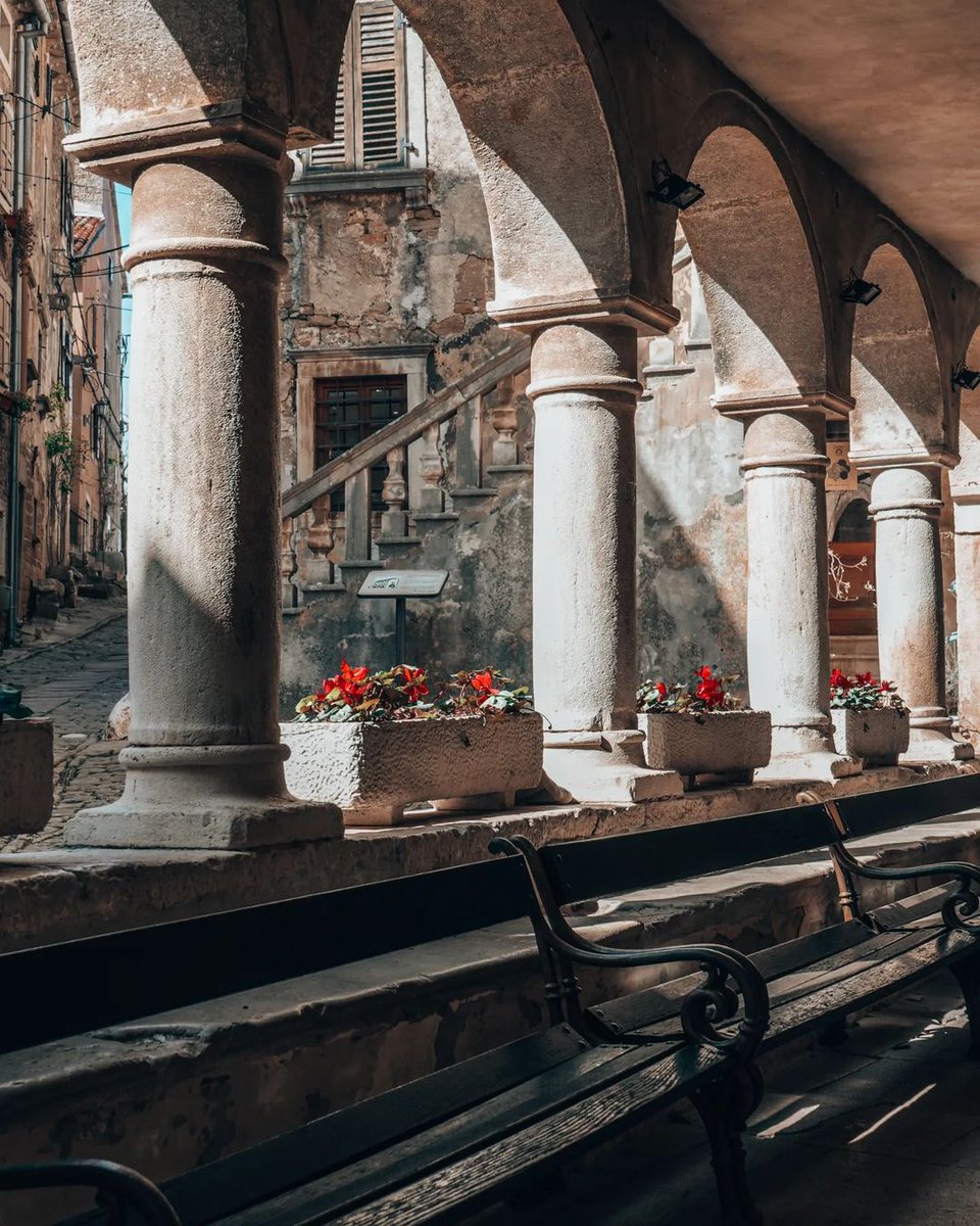 It's friday! 🪸😍
Have a nice weekend! 🤩
Grožnjan by 📸ursahorvat 
#CroatiaFullOfLife