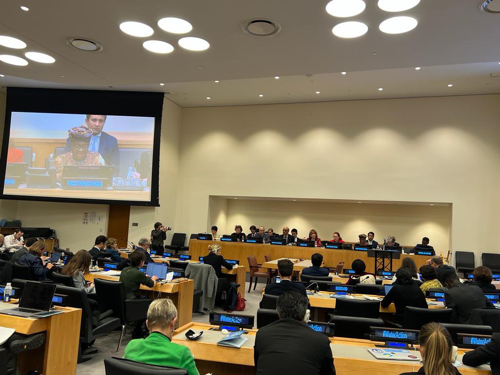 NOIweala's tweet photo. At the UN Special Event on the Economics of Water. Pursuing an interactive dialogue w/ Indigenous Groups, Youth &amp; other communities - Including the role of trade in a new economics of water. Great to be joined by H.E Csaba Kőrösi, President of the UN General Assembly @un_pga https://t.co/ma9McW18r1
