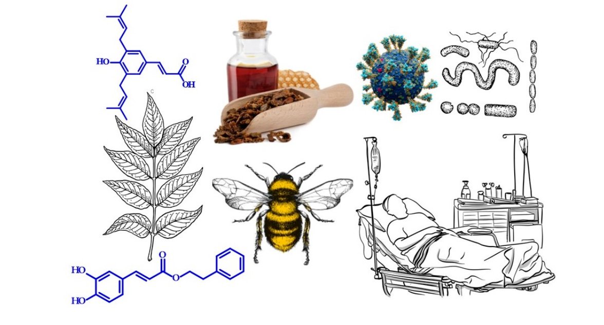 Molecules_MDPI's tweet photo. 📌#CAPE #COVID-19 #flavonoids #microbialpathogens #plantresins #Staphylococcusaureus
New Publication “Perspectives for Uses of Propolis in Therapy against Infectious Diseases”
By: Antonio Salatino, et al. 
👉 https://t.co/tQtm2eukFg
#mdpimolecules #NewPublication https://t.co/W5shlFhHth