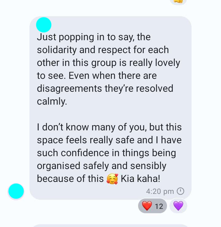 Helping organise what might be the largest rally for trans rights in NZ history (though I hope Tāmaki is bigger) has been very stressful. But I couldn't ask for a better group to do it with than @QueerEndurance. One of the marshaling volunteers put the vibe in the group best: