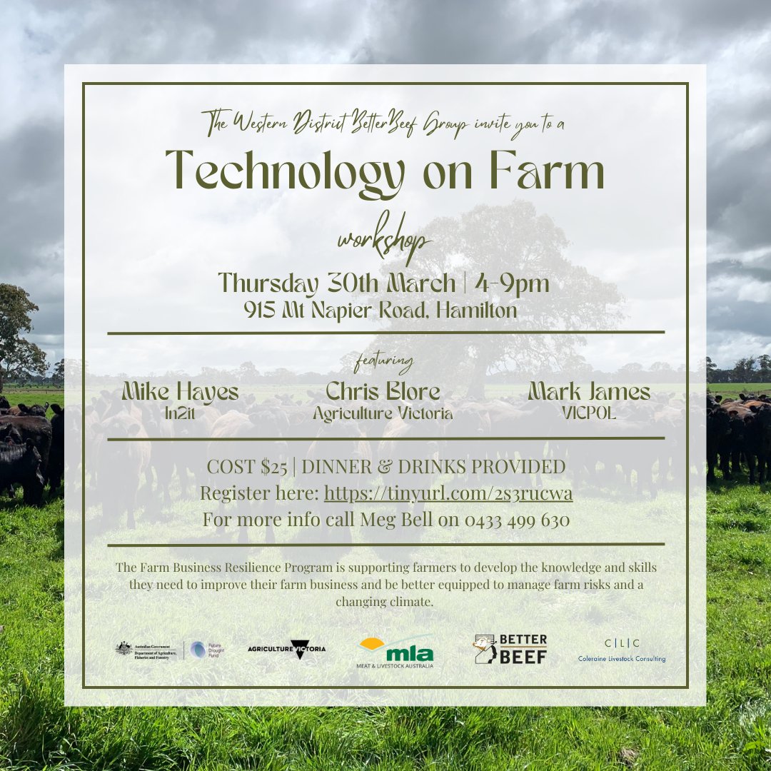 Meg Bell tweet media