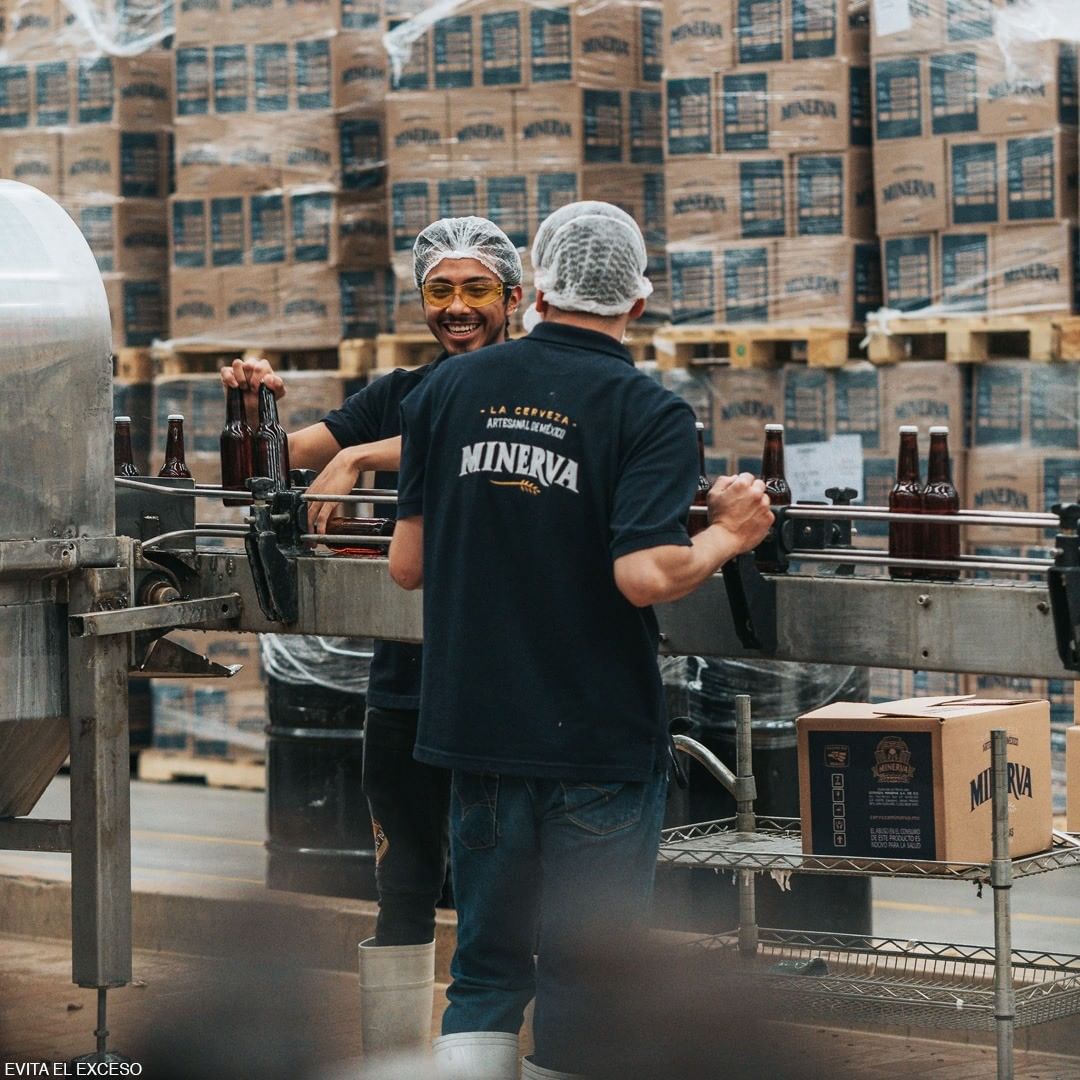 ¡Vuelven los recorridos a planta Minerva! Anímate a conocer a fondo el proceso artesanal de nuestra cerveza. Para reservar, visita: cervezaminerva.mx/visitanos 👈