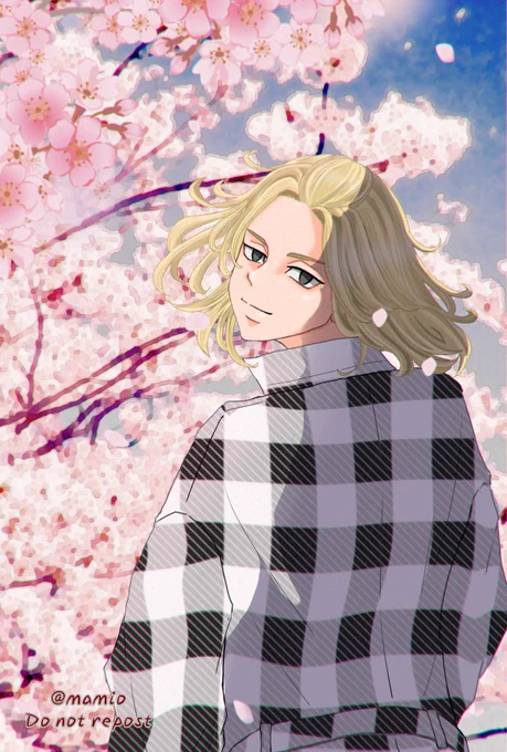 リクエスト3つ目は夜桜マイキーちゃん(背景素材使いまくりです 