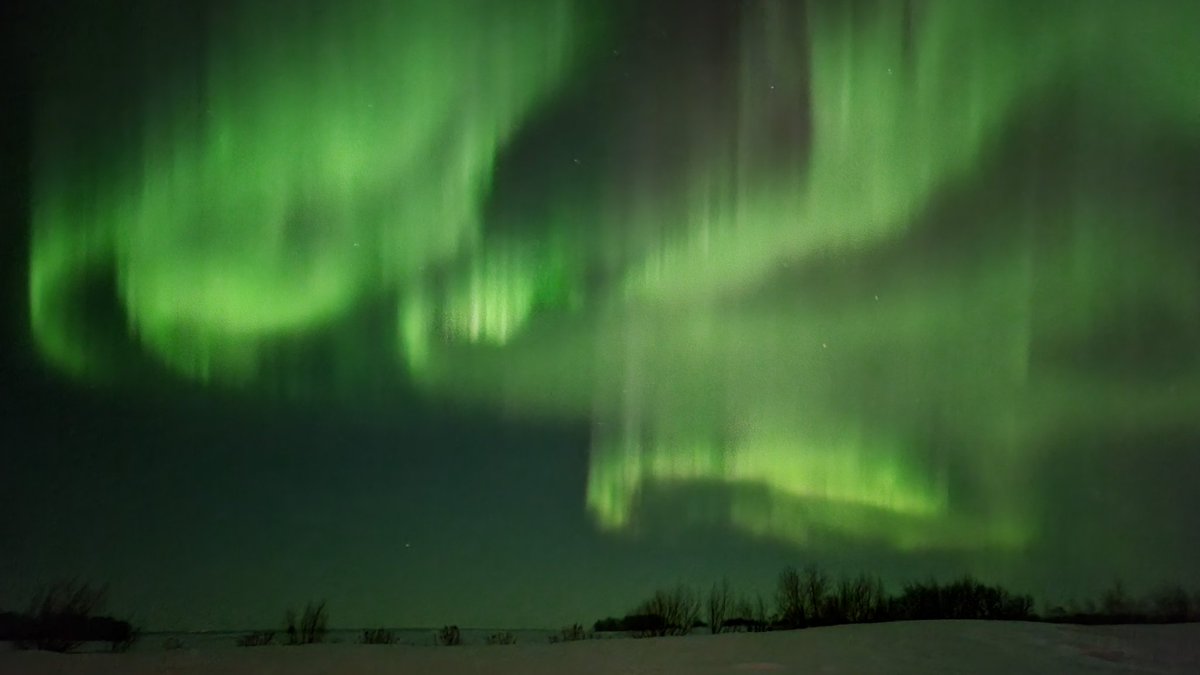 Terry Follis tweet media