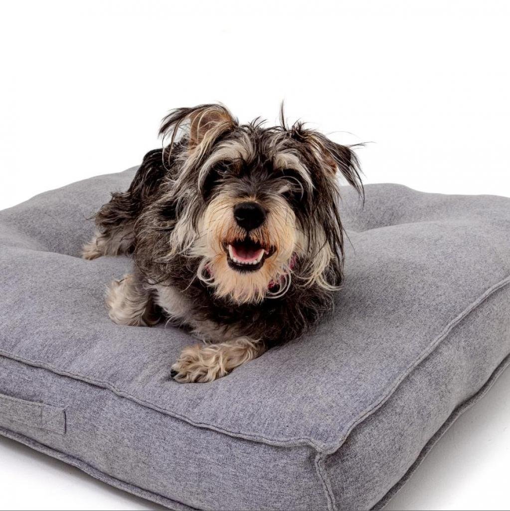 donna morreale on Twitter "RT LADogsForYou I'm Marge, an adult