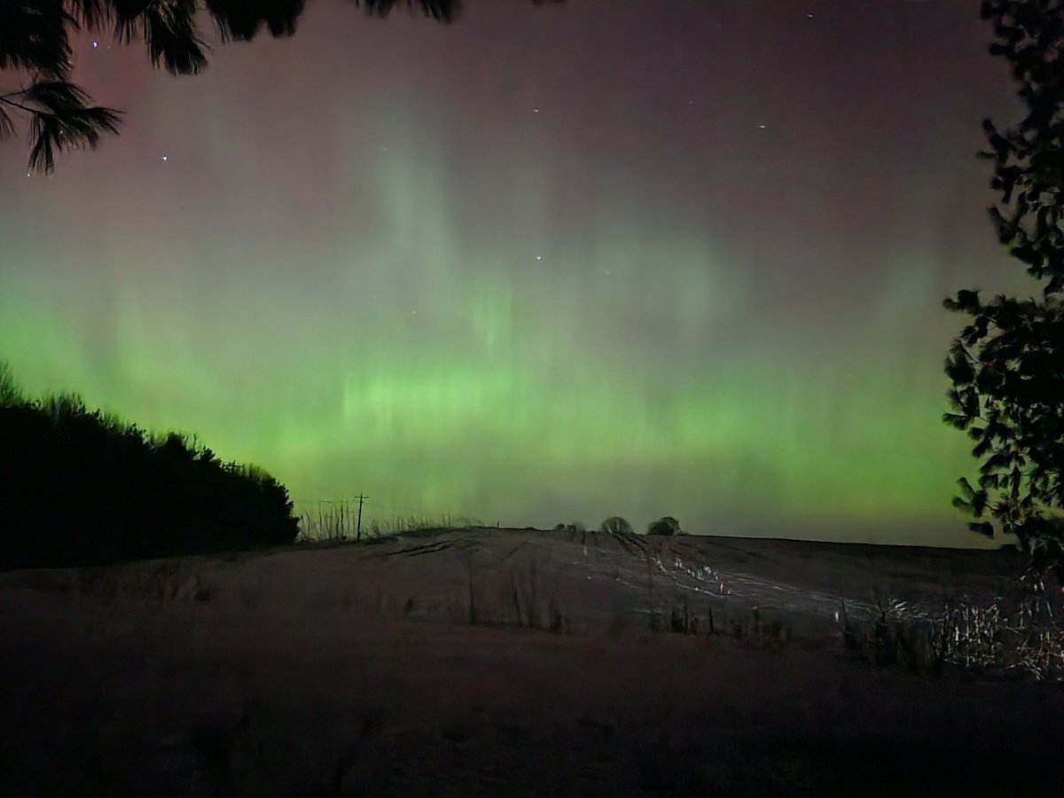 Erin Kelly ☘🤘 tweet media