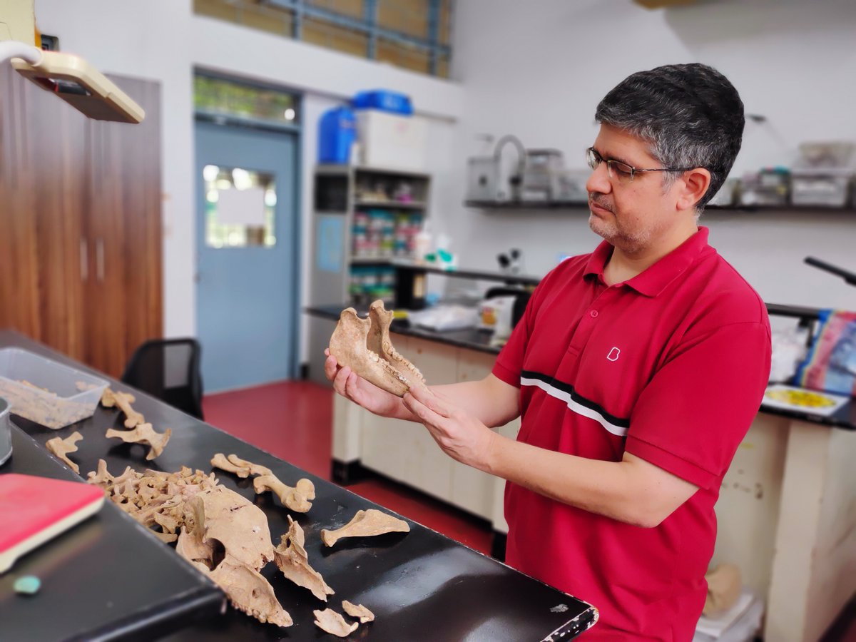 WELCOME TO UPSA ZOOARCH LAB WEBSITE!!
Learn about us, our facility and collections, research interests, contact info, current projects and partnerships. archaeology.upd.edu.ph/zooarchaeology…