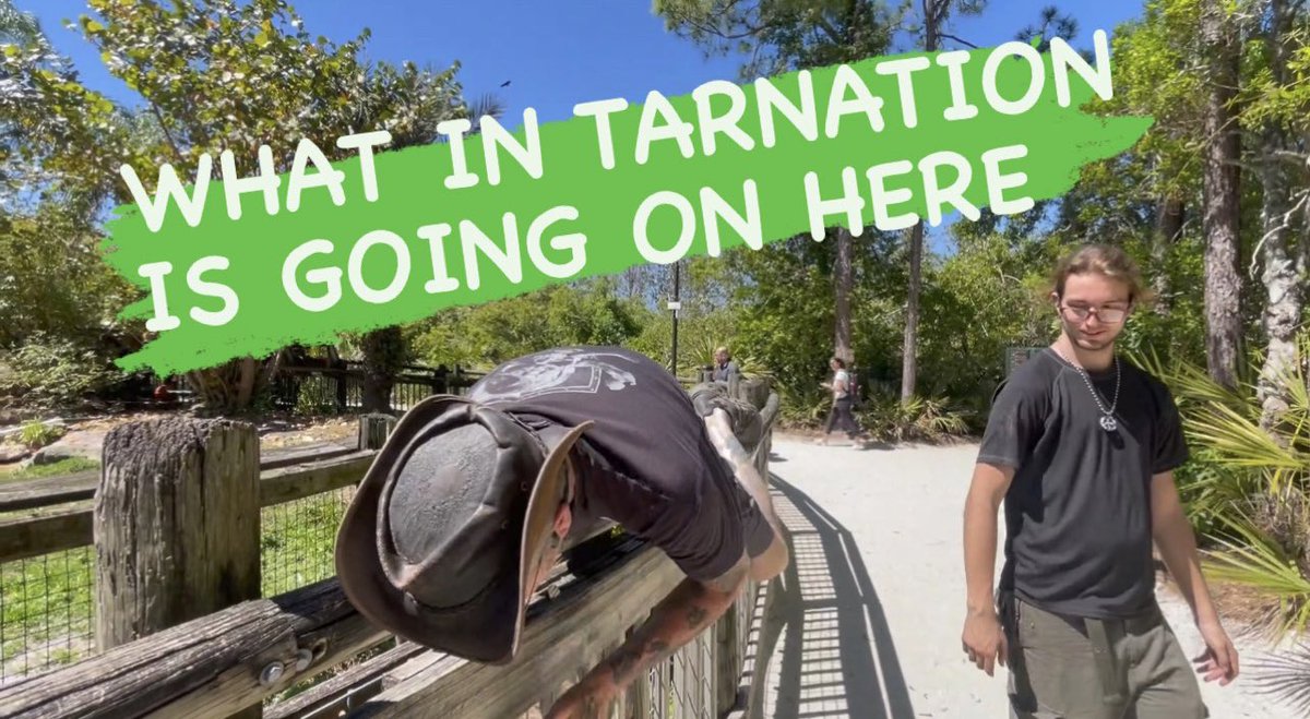 Get Swamped! tweet media